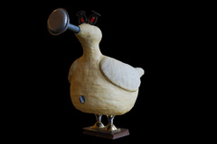 Sjon Brands vogels: 'Waterkip'
