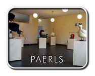 exhibitions