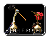 exhibitions