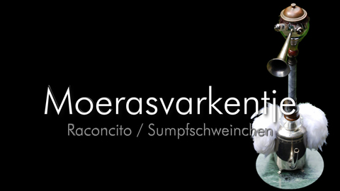 Moerasvarkentje